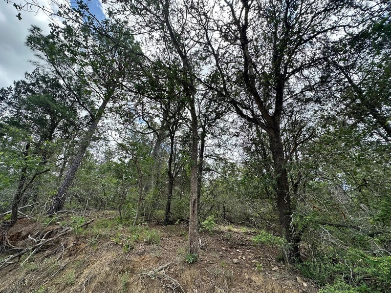 173 Kaaawa LN, Bastrop, TX 78602
