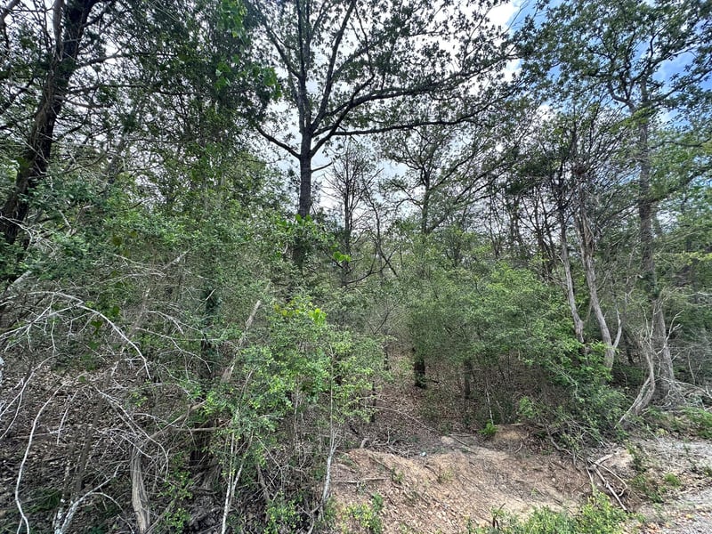 173 Kaaawa LN, Bastrop, TX 78602