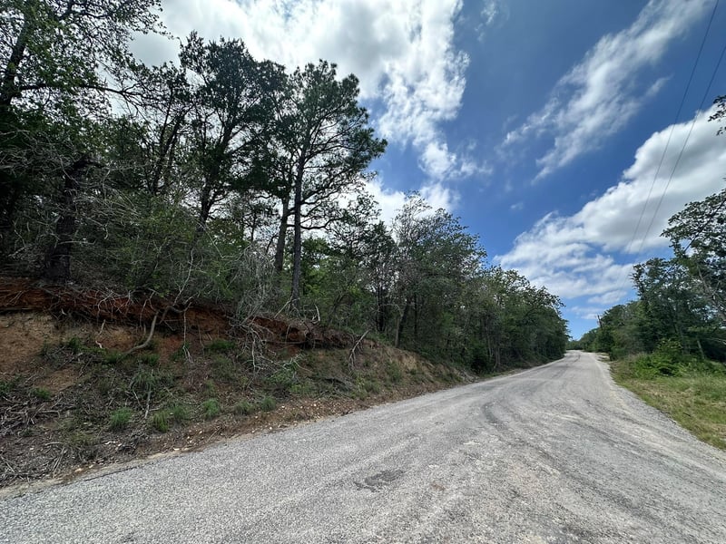 173 Kaaawa LN, Bastrop, TX 78602