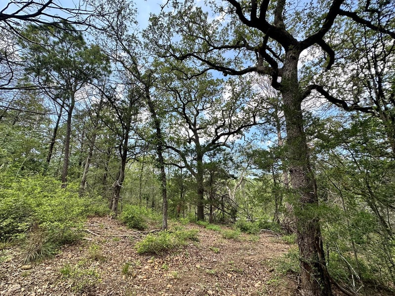 00 Oah CT, Bastrop, TX 78602