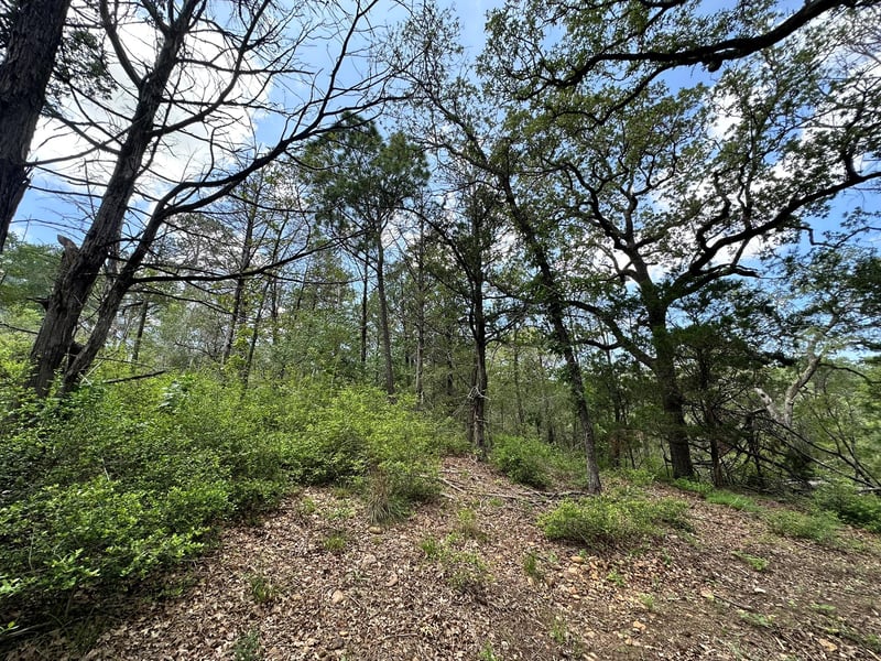 00 Oah CT, Bastrop, TX 78602