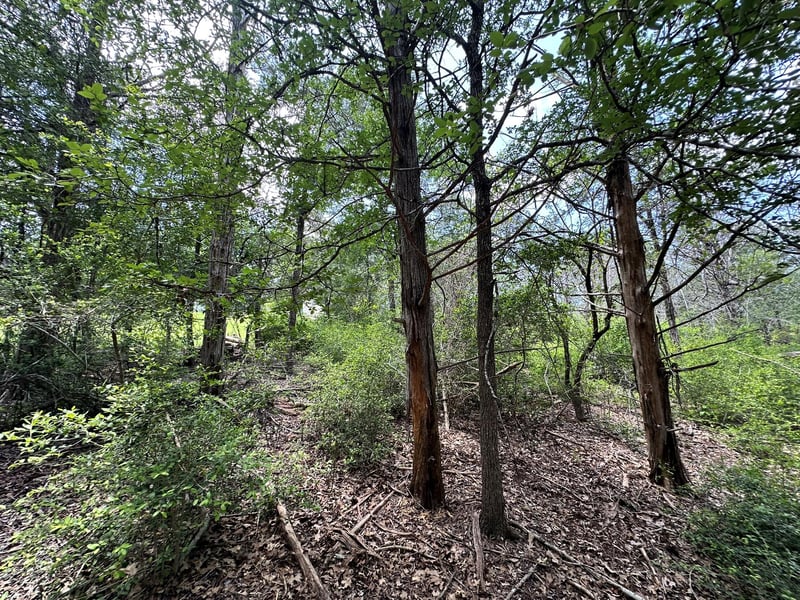 000 Oah CT, Bastrop, TX 78602