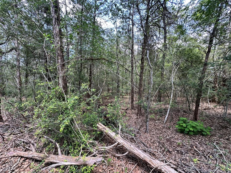 000 Oah CT, Bastrop, TX 78602
