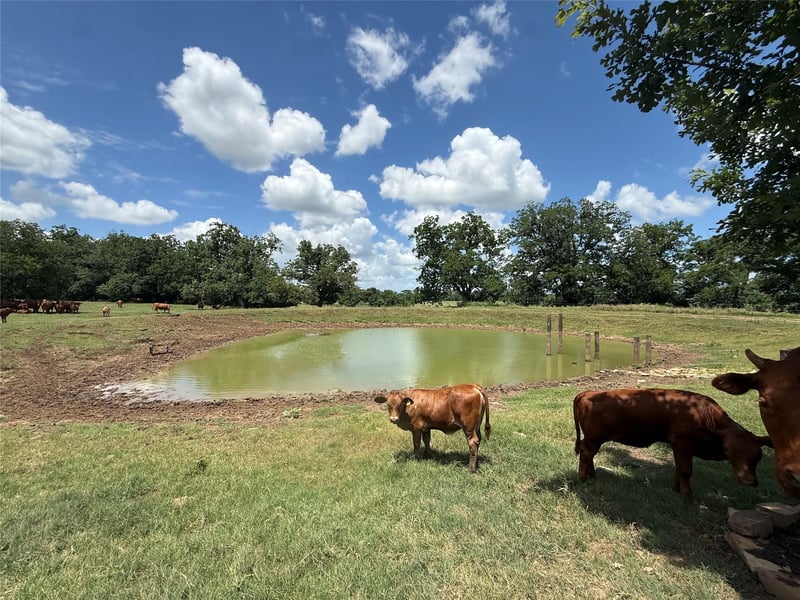 314 Fm 2571, Smithville, TX 78957