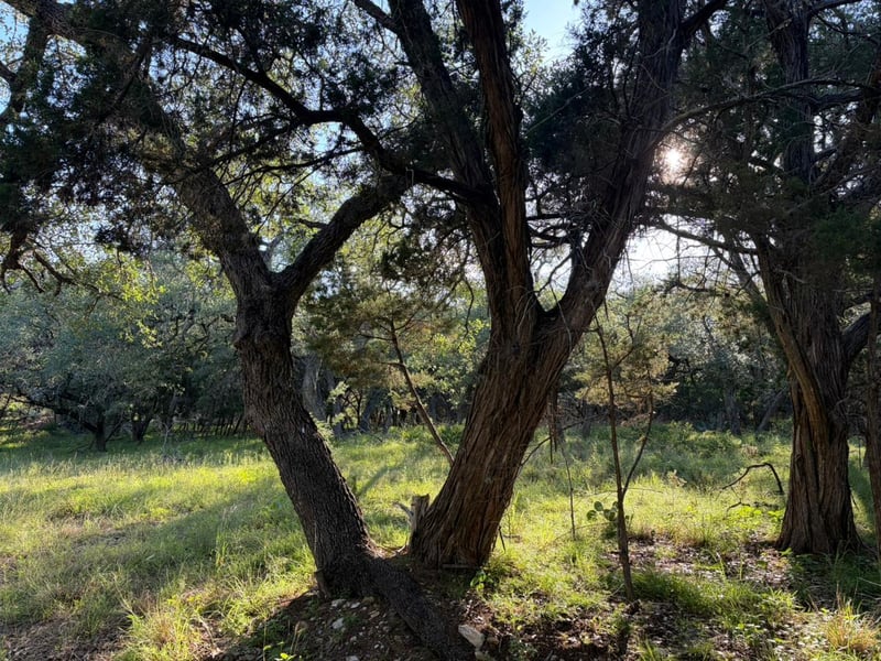 1206 Fawn Pk, Lago Vista, TX 78645