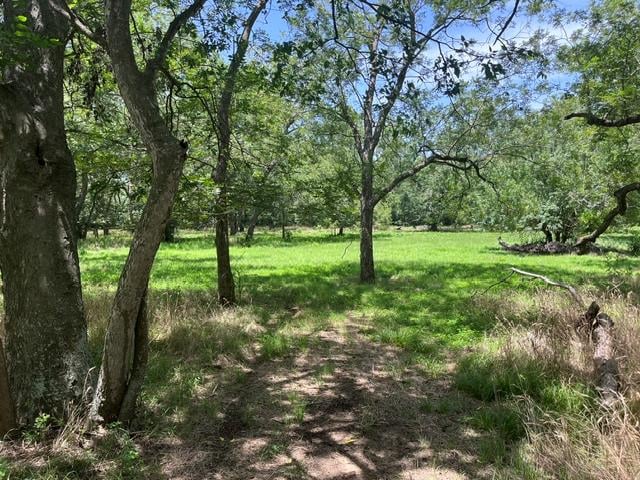 344 - 343 Bateman RD, Red Rock, TX 78662