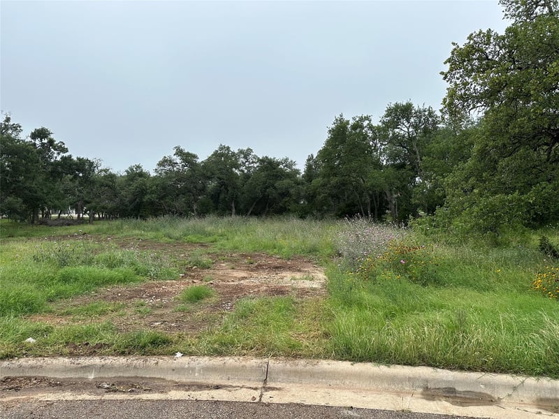 505 Milk Thistle CV, Georgetown, TX 78628