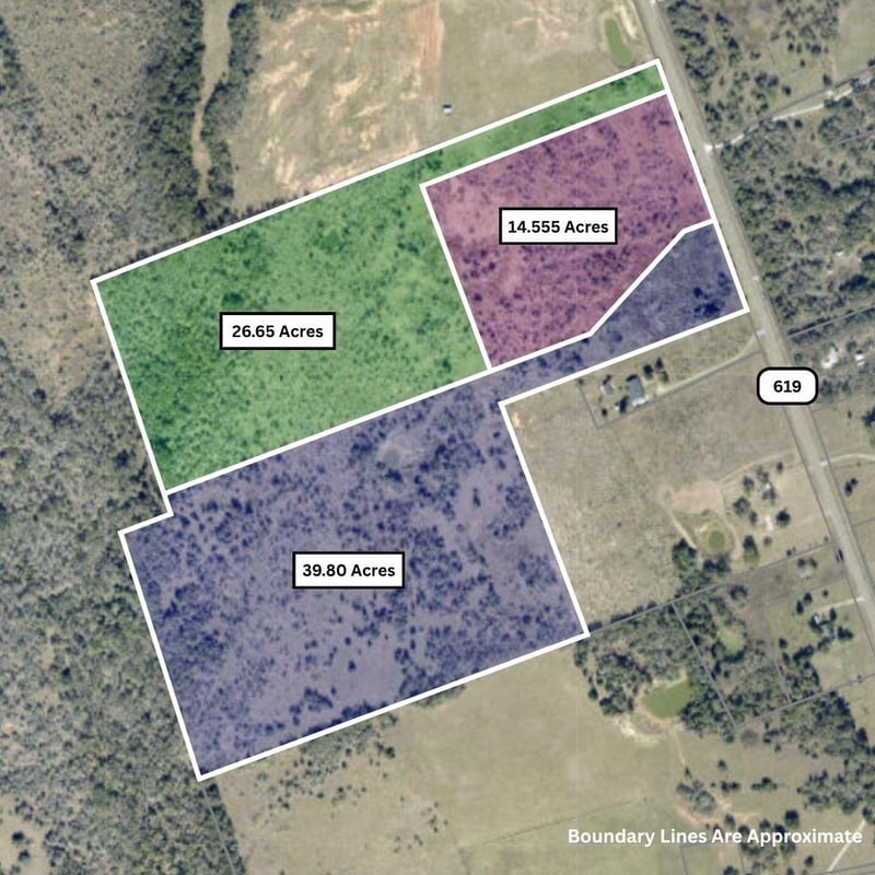 TBD Fm 619 , Thrall, TX 76578