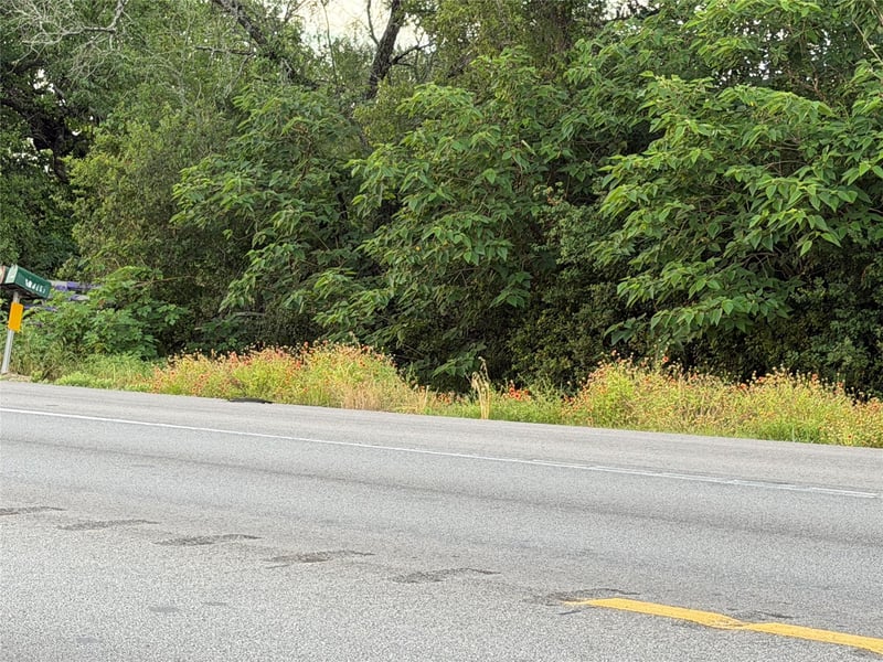 239 State Highway 21 Hw, Cedar Creek, TX 78612