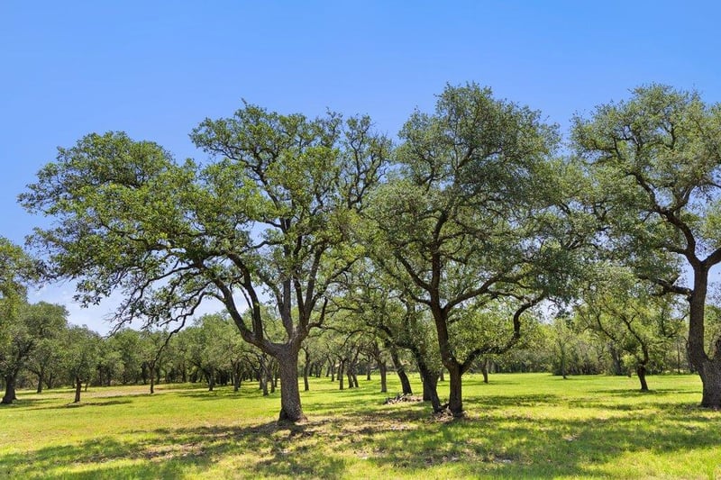 118 Crestview DR, Johnson City, TX 78636