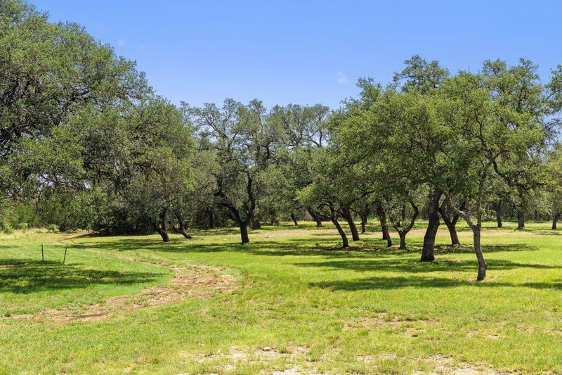 118 Crestview DR, Johnson City, TX 78636