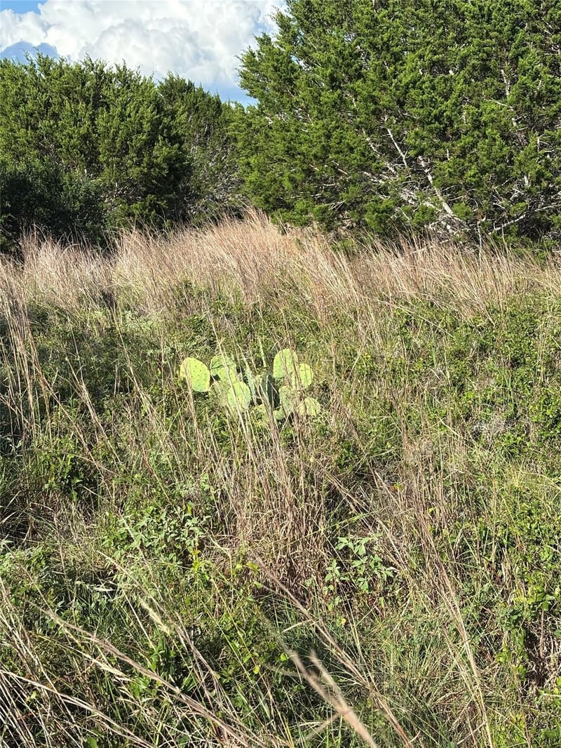 1200 Cave Springs DR, Wimberley, TX 78676