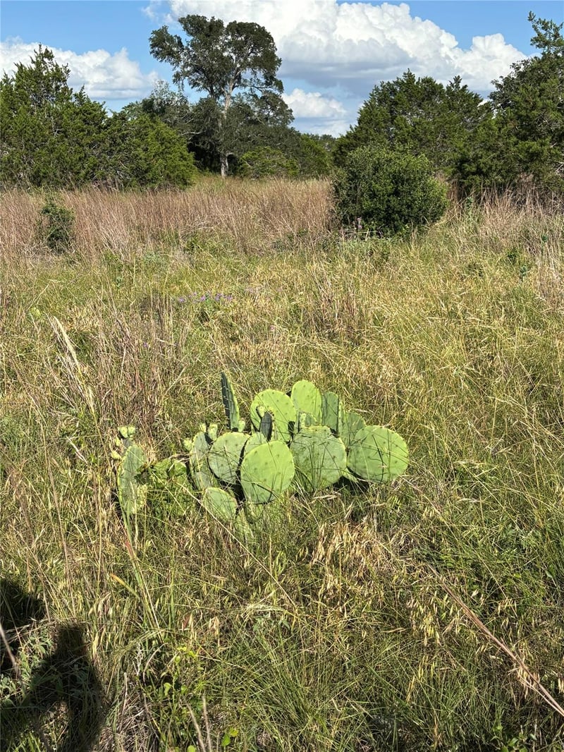 1200 Cave Springs DR, Wimberley, TX 78676