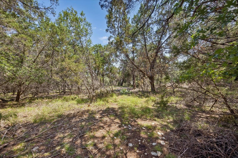175 Spanish Oak LN, Liberty Hill, TX 78642