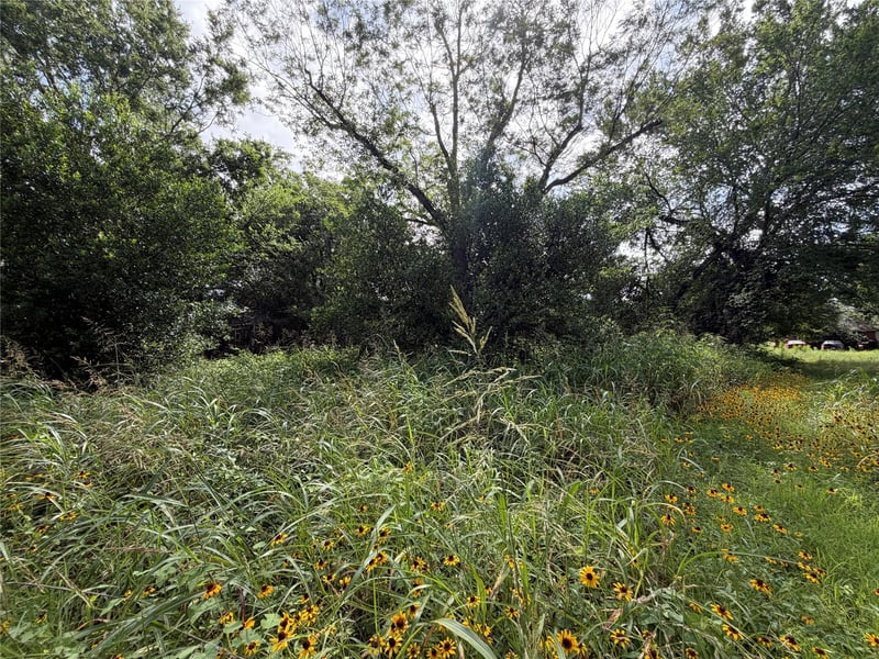305 Ross ST, Smithville, TX 78957