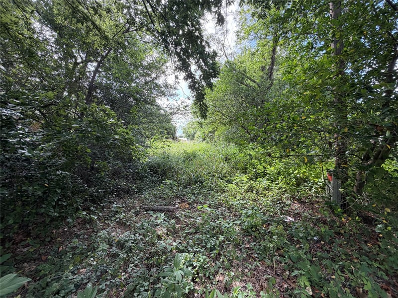 305 Ross ST, Smithville, TX 78957