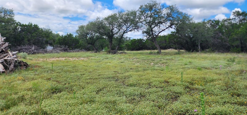 1285 Cedar LAKE, Spring Branch, TX 78070