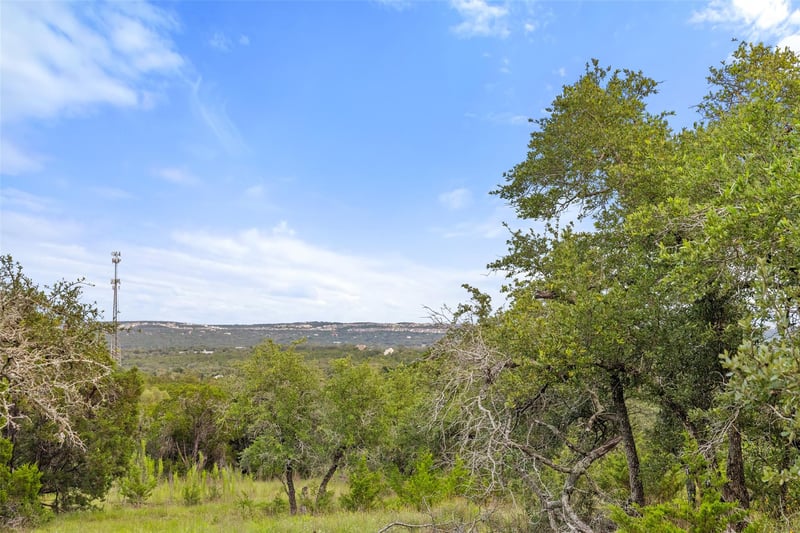 31860 Mirela Ann RD, Dripping Springs, TX 78620