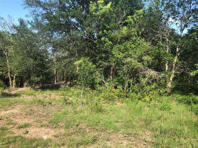 13414 Elm Grove RD, Buda, TX 78610