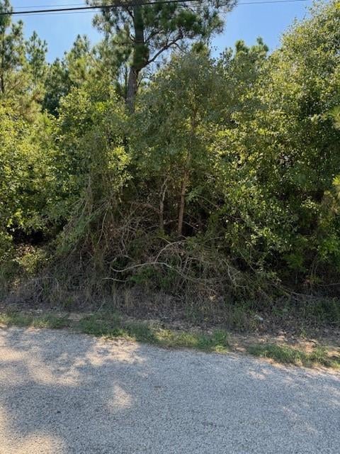 Lot 1355 Kaupo DR, Bastrop, TX 78602