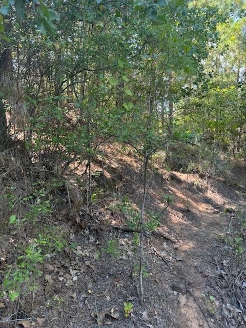 Lot 1355 Kaupo DR, Bastrop, TX 78602
