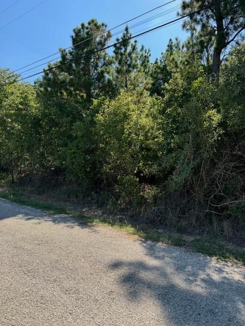 Lot 1355 Kaupo DR, Bastrop, TX 78602