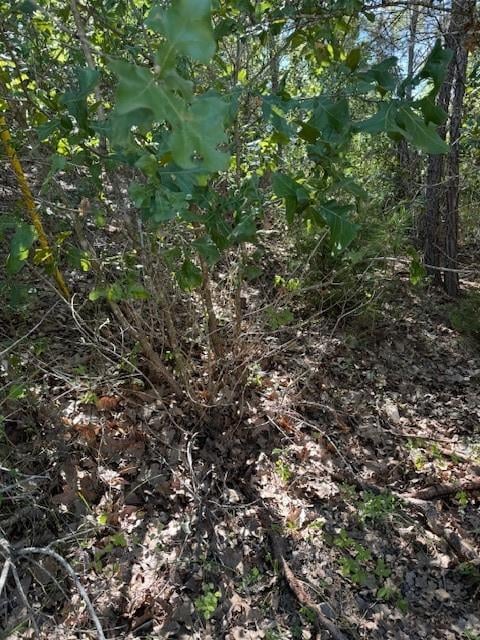 Lot 1355 Kaupo DR, Bastrop, TX 78602
