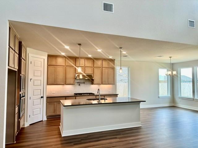 19600 Erna DR, Pflugerville, TX 78660