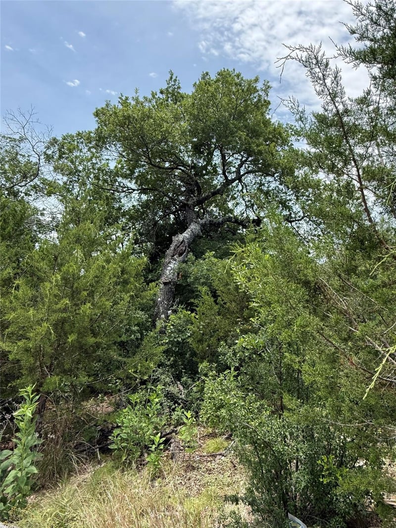 1709 Long Bow DR, Leander, TX 78641