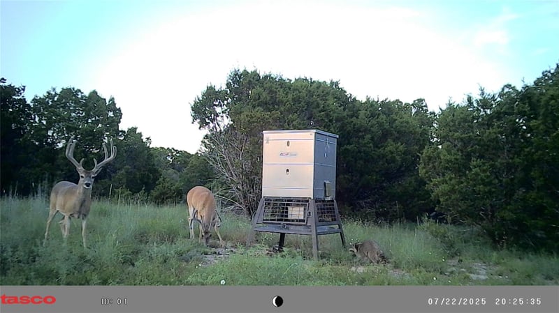 3366 Cr 419 , Evant, TX 76525