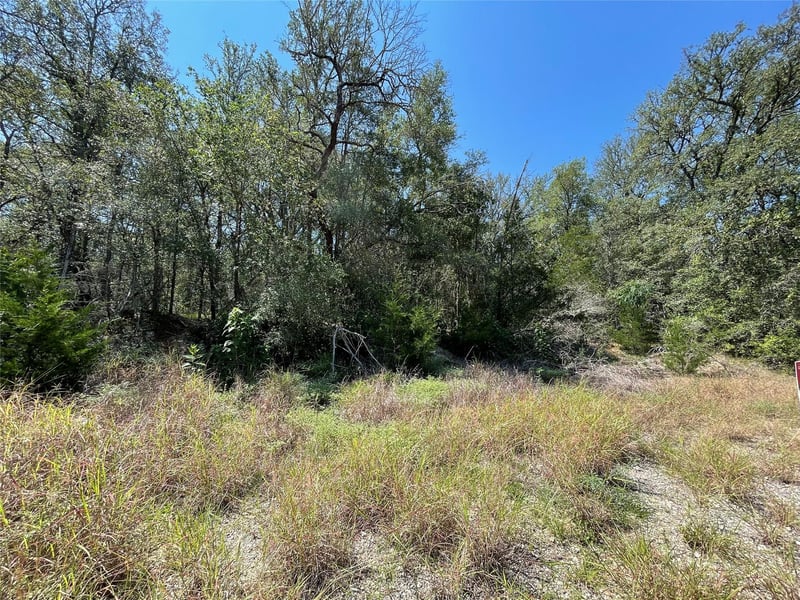 106 Waipio CT, Bastrop, TX 78602