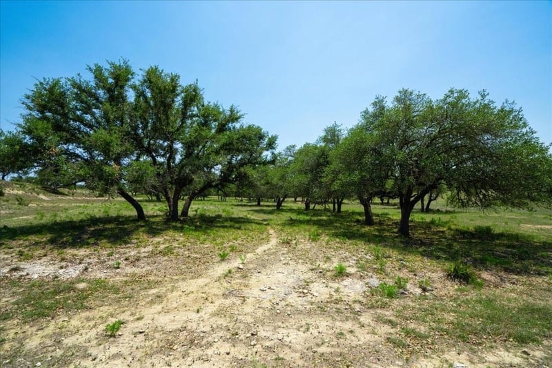 101 Mystic Overlook DR, Dripping Springs, TX 78620