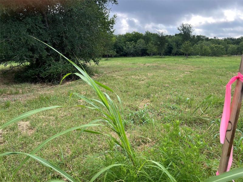 TBD Fm 3000 Tract 2, Elgin, TX 78621