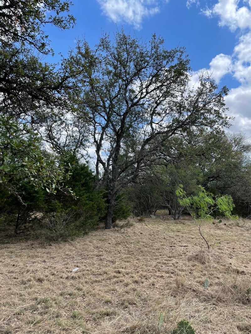 302 Vista View TRL, Spicewood, TX 78669
