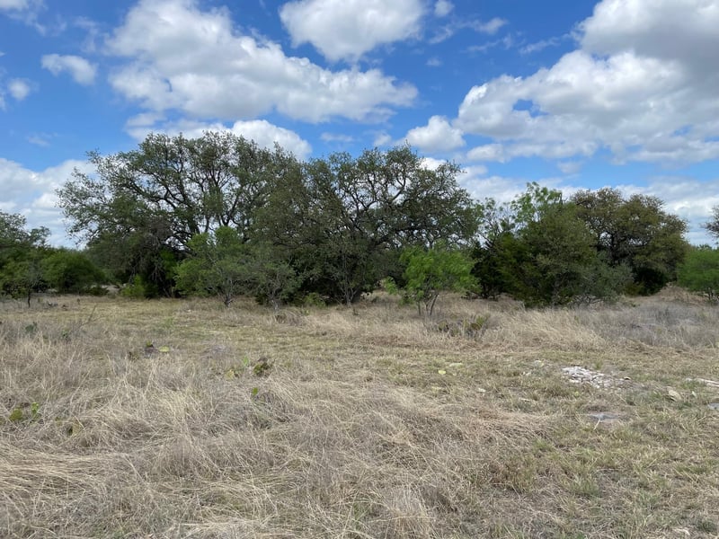 302 Vista View TRL, Spicewood, TX 78669