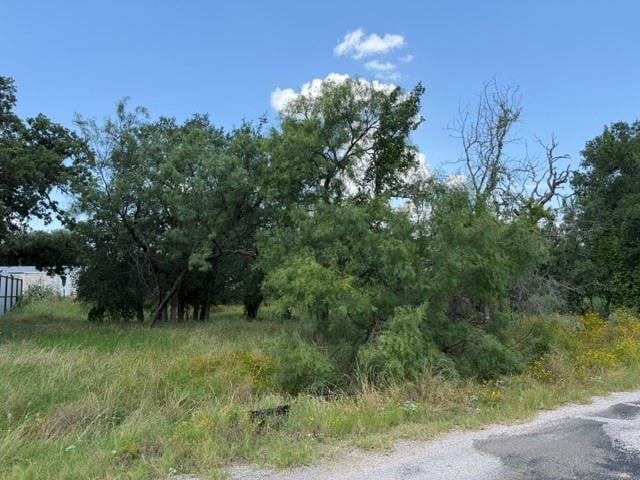3523 Cactus TRL, Kingsland, TX 78639