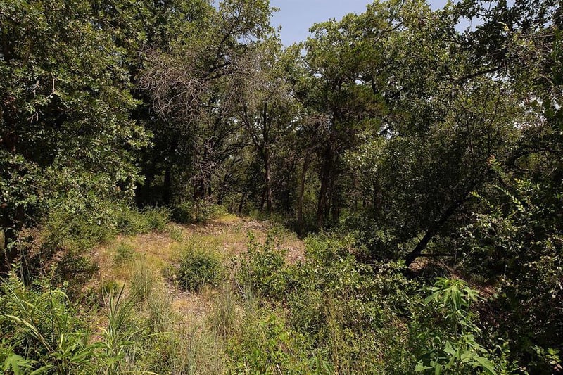 TBD Post Oak Rim DR, Bastrop, TX 78602