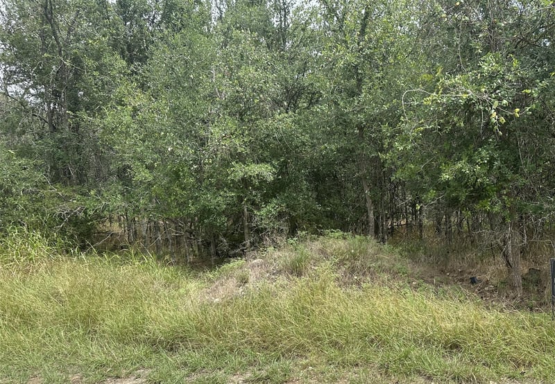 107 Halawa CT, Bastrop, TX 78602