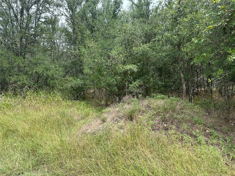 107 Halawa CT, Bastrop, TX 78602