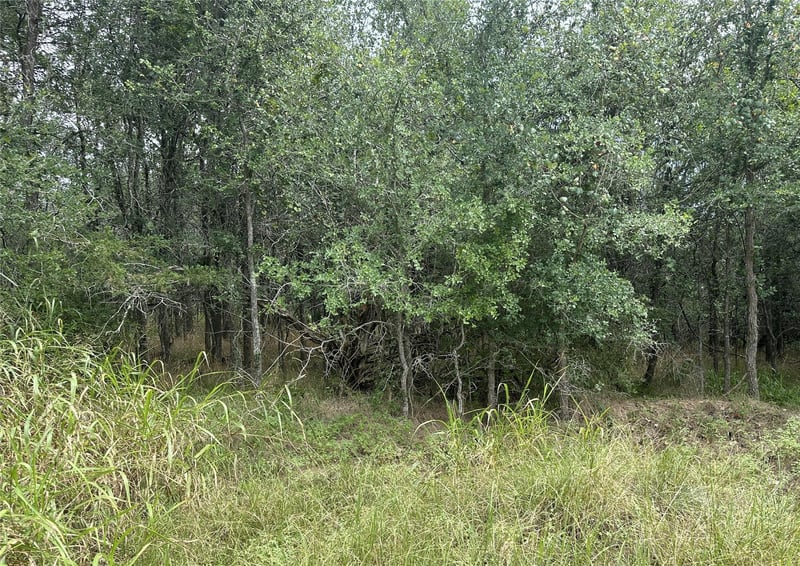 109 Halawa CT, Bastrop, TX 78602