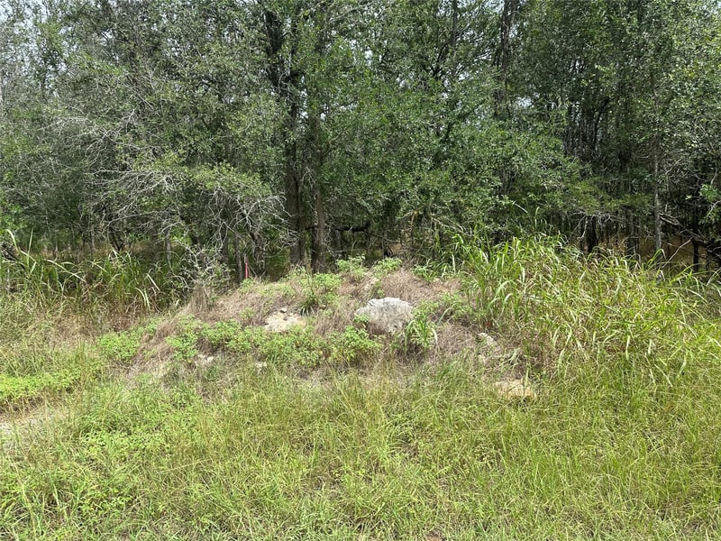 109 Halawa CT, Bastrop, TX 78602