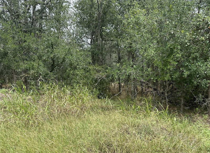 109 Halawa CT, Bastrop, TX 78602