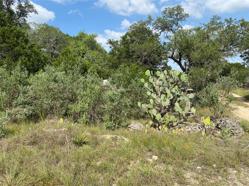 TBD Oak Meadow Lane RDG, Wimberley, TX 78676