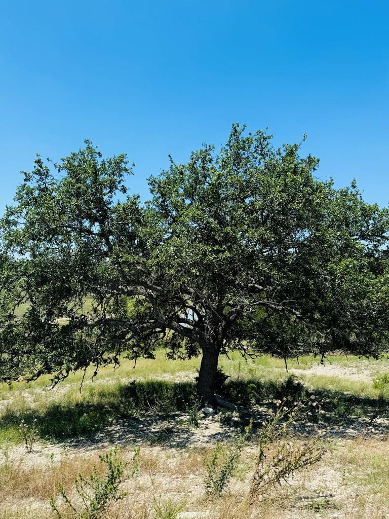 Lot 3 Oakwater DR, Fredericksburg, TX 78624