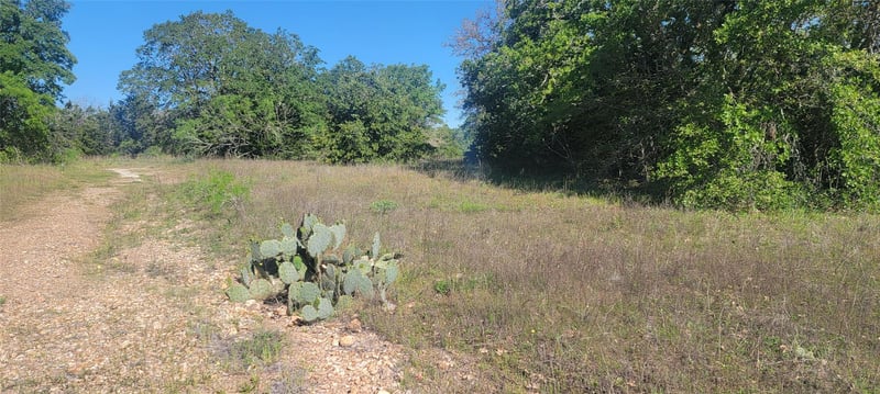 156 Lone Star CIR, Bastrop, TX 78602