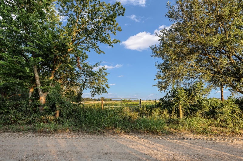 000 County Road 429, Rockdale, TX 76567