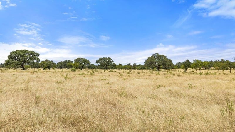 Golden Meadow, Johnson City, TX 78636