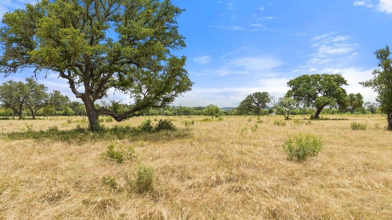 Golden Meadow, Johnson City, TX 78636