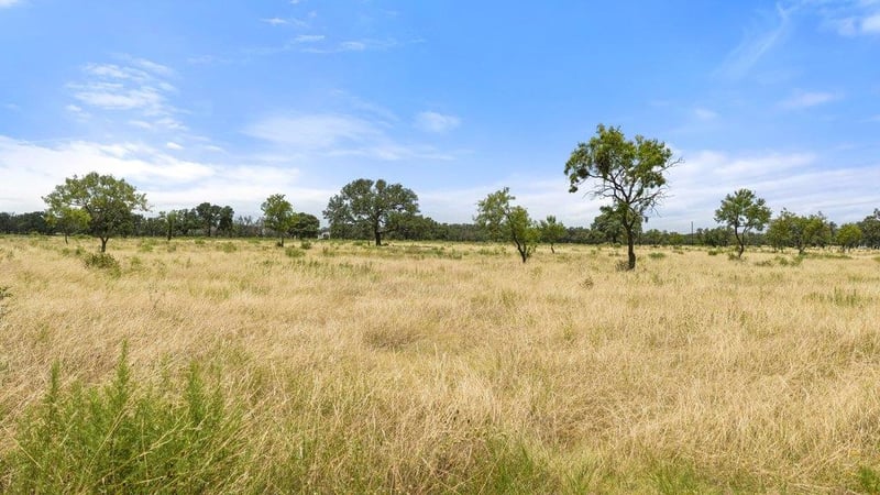 Golden Meadow, Johnson City, TX 78636
