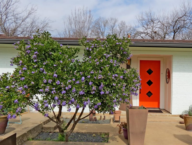1601 19th ST, Georgetown, TX 78626